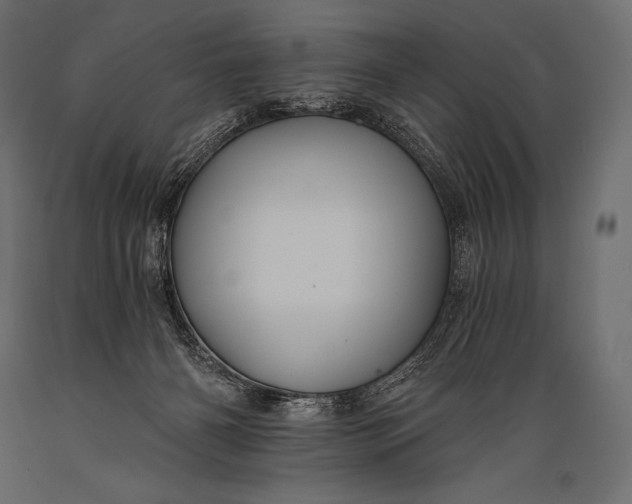 X0000088860126200706291526