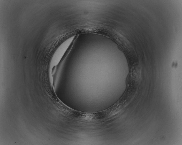 X0000088860127200706291526