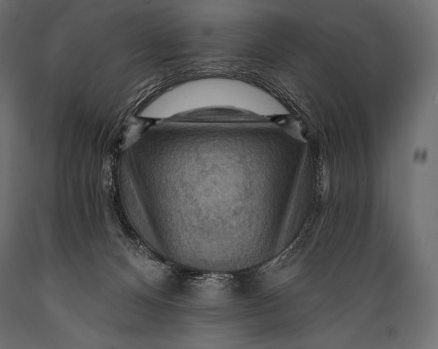 X0000088860128200706291526