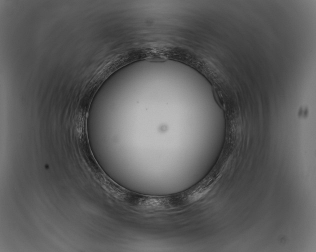 X0000088860129200706291526