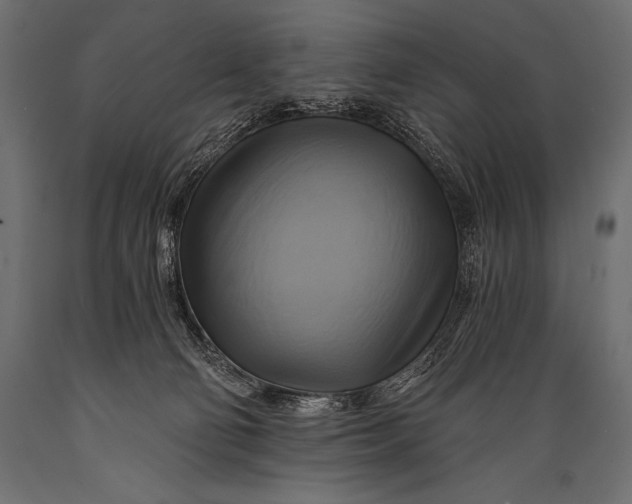 X0000088860130200706291526