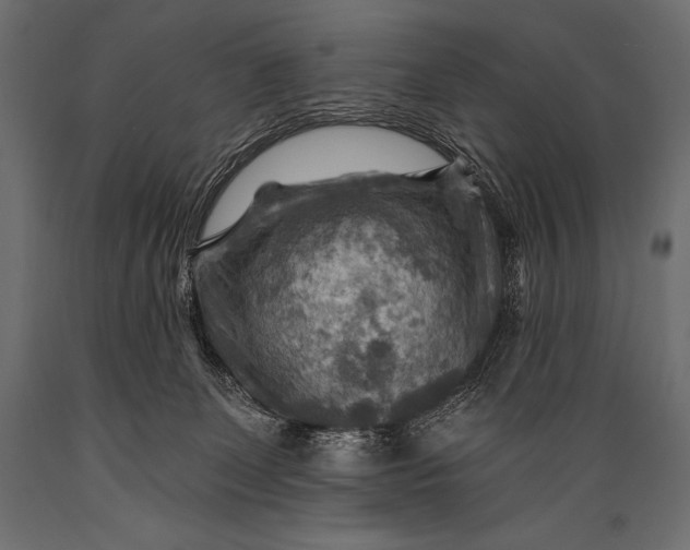 X0000088860131200706291526