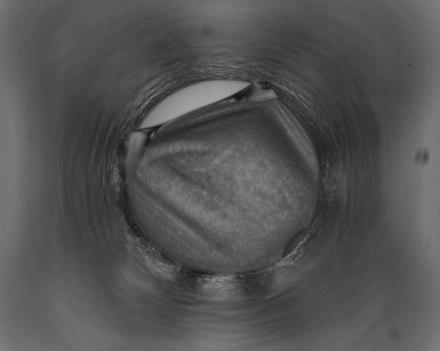 X0000088860132200706291526