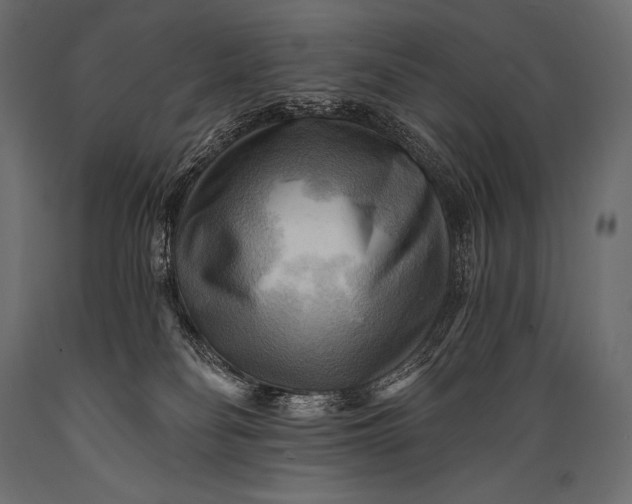 X0000088860134200706291526