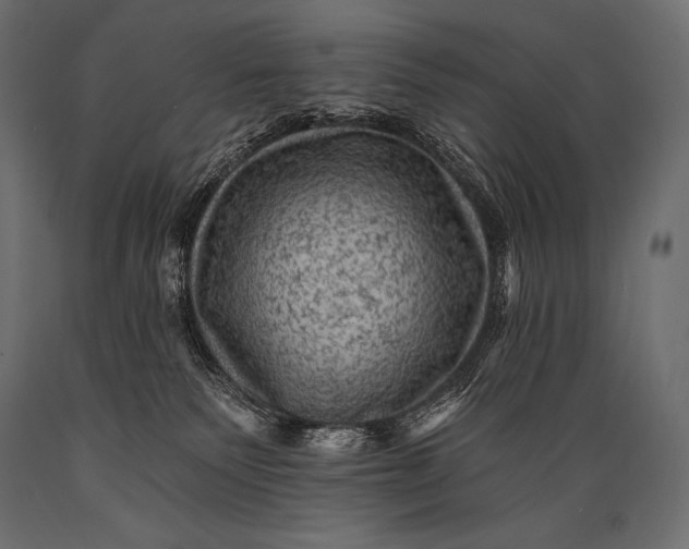 X0000088860135200706291526