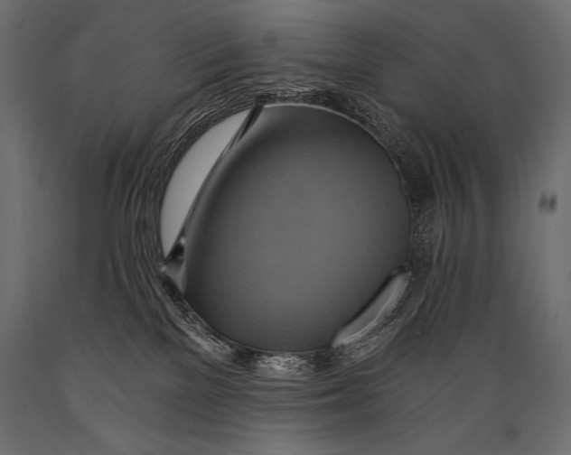 X0000088860137200706291526