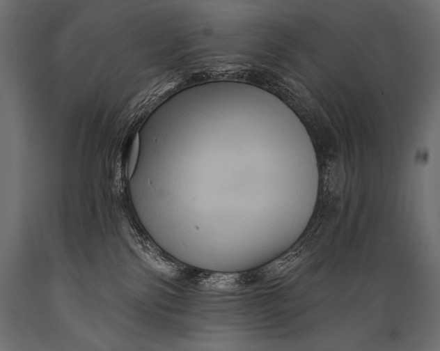 X0000088860138200706291526