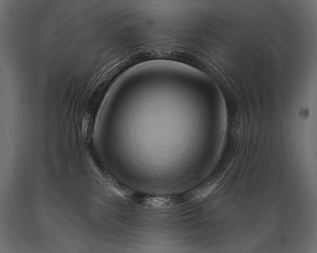 X0000088860139200706291526