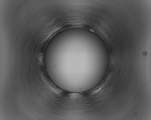 X0000088860141200706291526