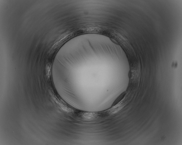 X0000088860142200706291526