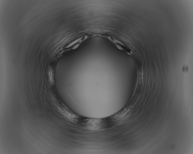 X0000088860143200706291526