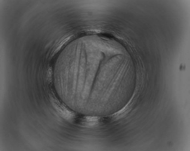 X0000088860144200706291526