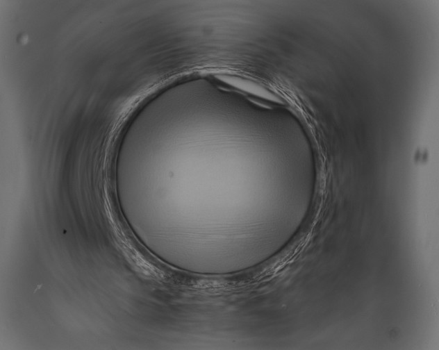 X0000088860145200706291525