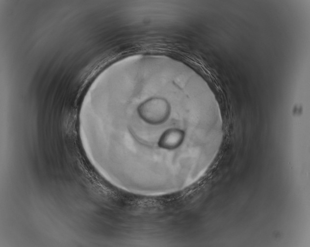 X0000088860146200706291525