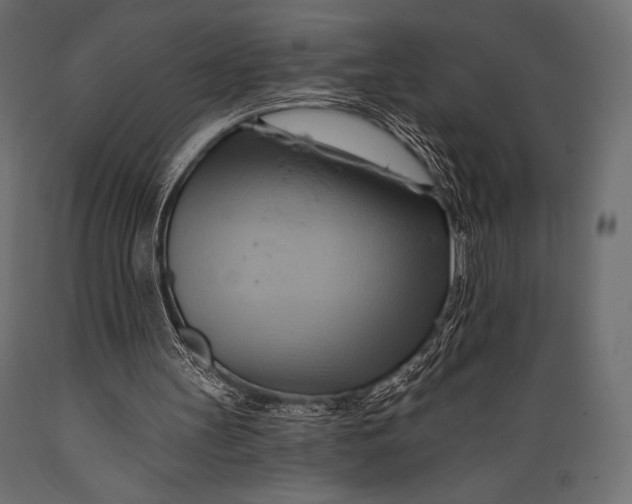 X0000088860147200706291525