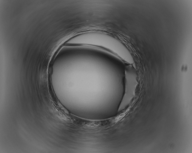 X0000088860148200706291525