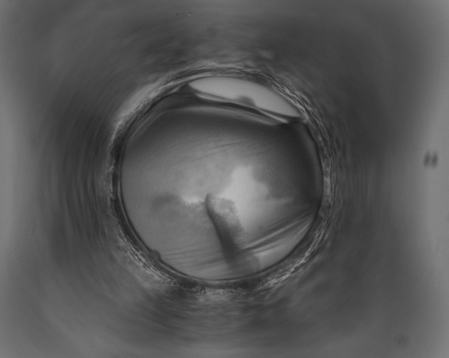 X0000088860149200706291525