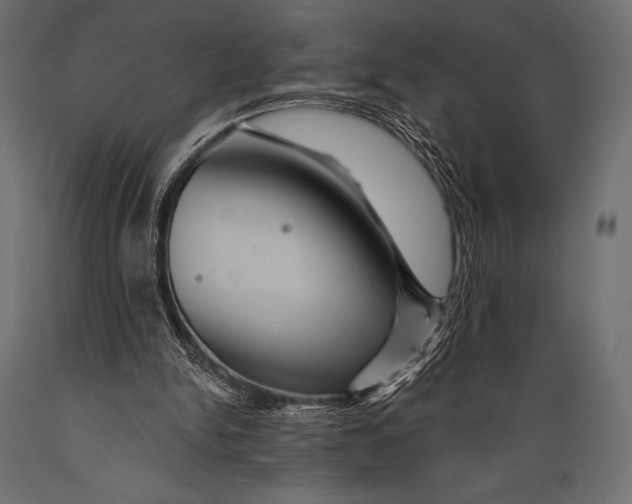 X0000088860150200706291525