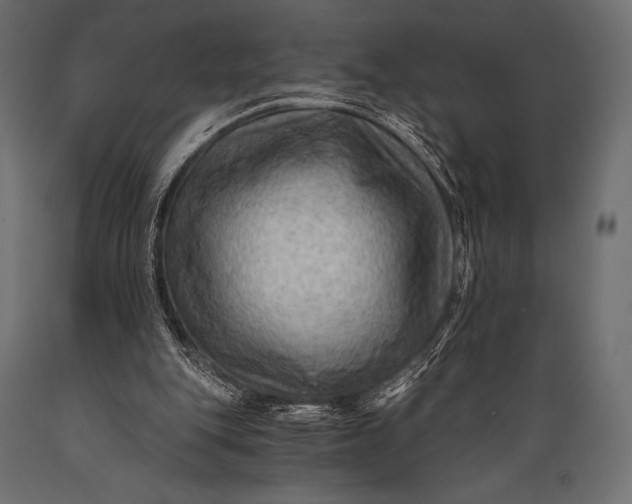 X0000088860151200706291525