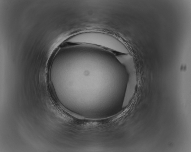 X0000088860152200706291525