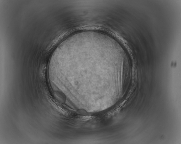 X0000088860153200706291525