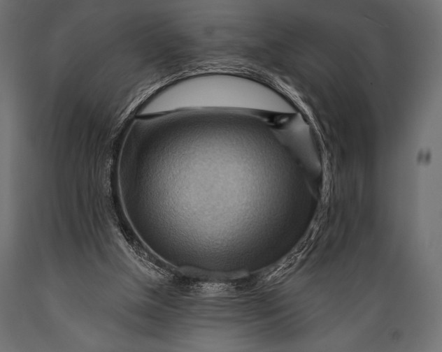 X0000088860154200706291525