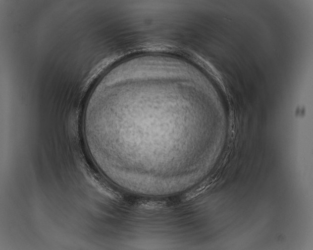 X0000088860155200706291525