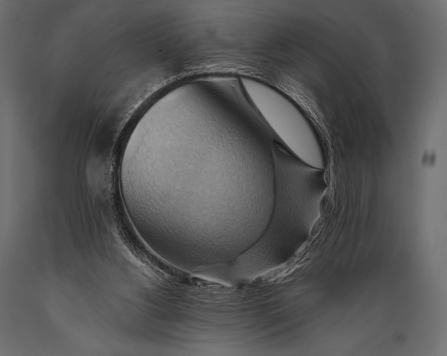 X0000088860156200706291525