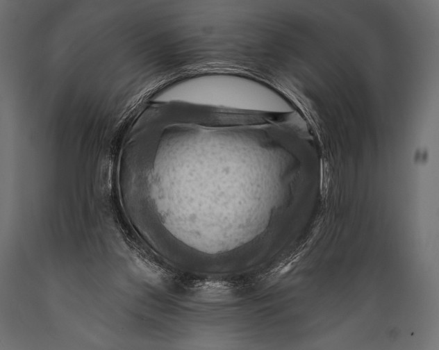 X0000088860157200706291525