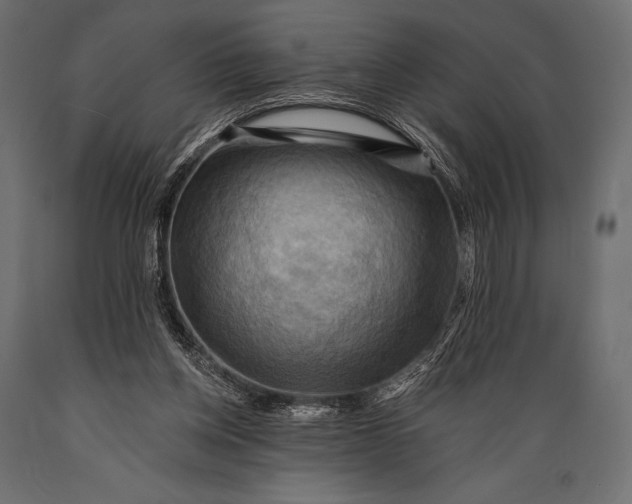 X0000088860158200706291525