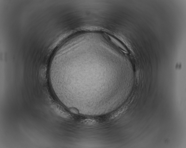 X0000088860159200706291525