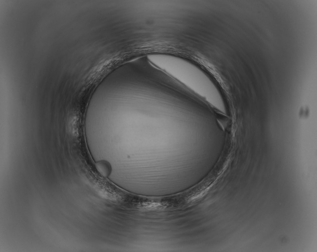 X0000088860161200706291526