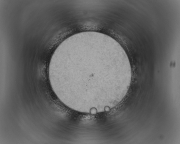 X0000088860162200706291526