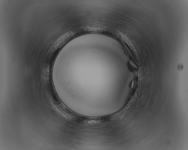 X0000088860163200706291526