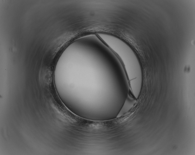 X0000088860164200706291526