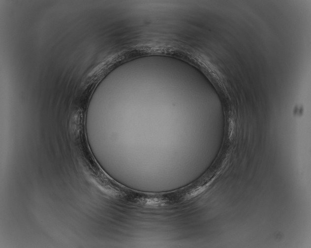 X0000088860165200706291526