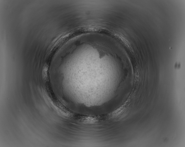 X0000088860166200706291526