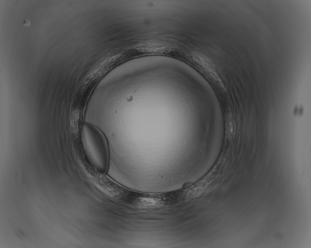 X0000088860167200706291526