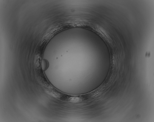 X0000088860169200706291526