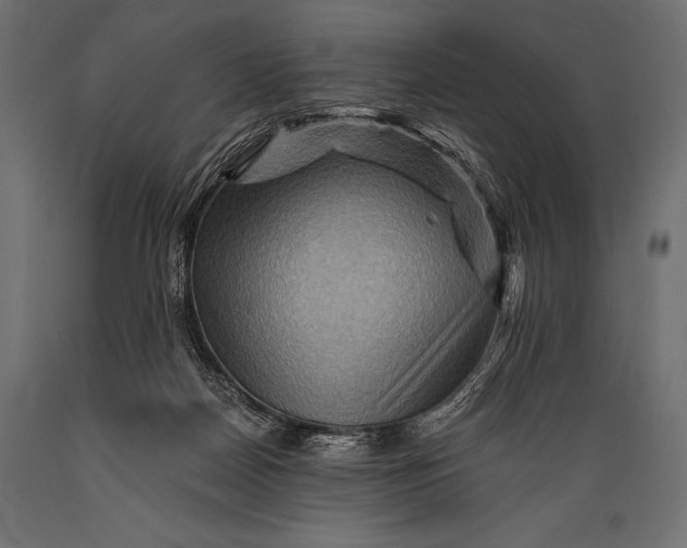 X0000088860170200706291526