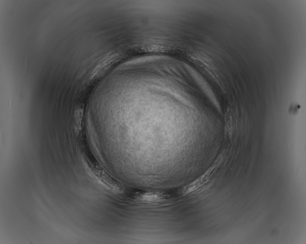 X0000088860171200706291526