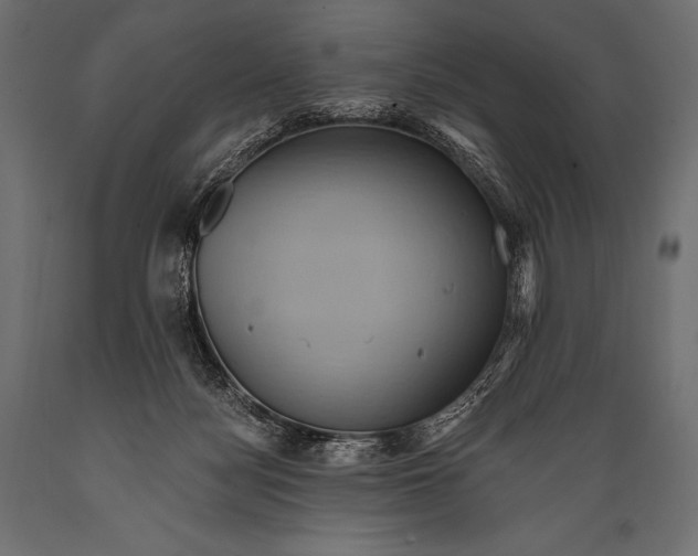 X0000088860172200706291526