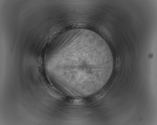 X0000088860173200706291526