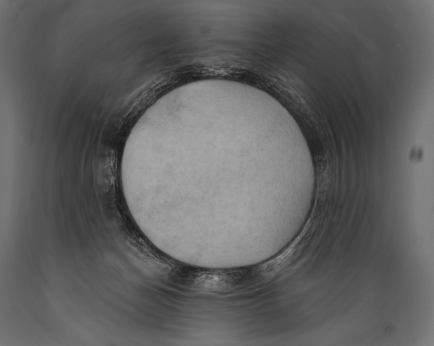 X0000088860174200706291526