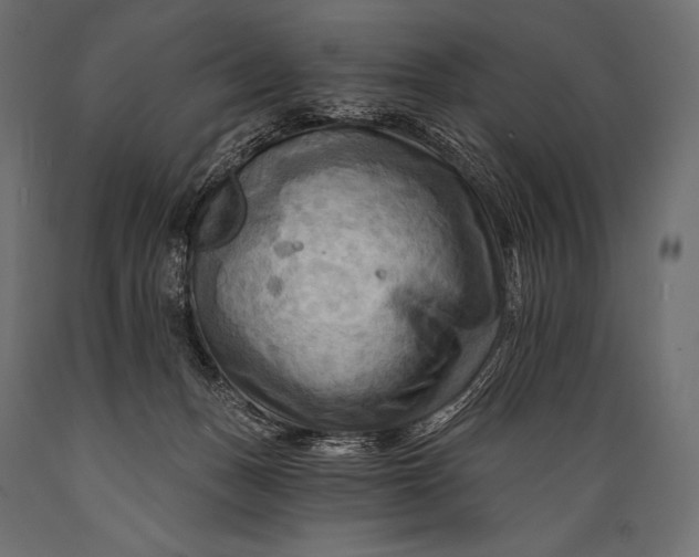 X0000088860175200706291526