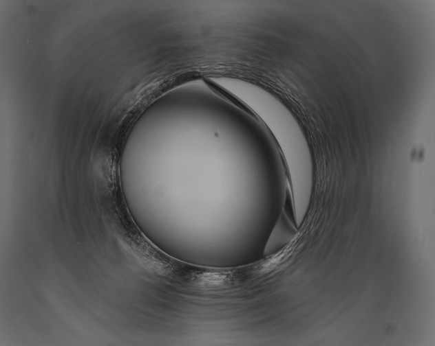 X0000088860176200706291526