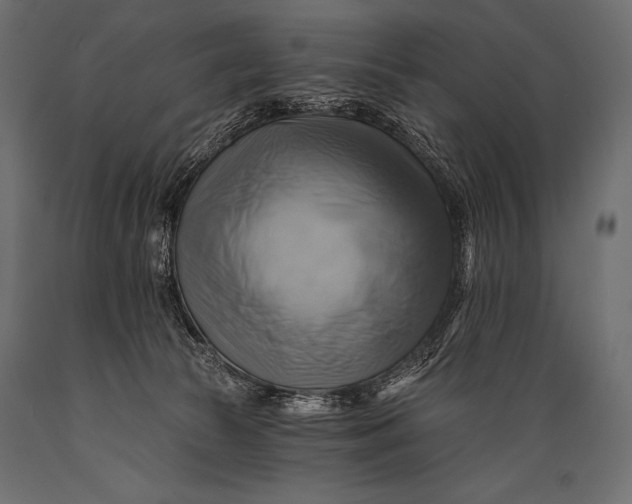 X0000088860177200706291526