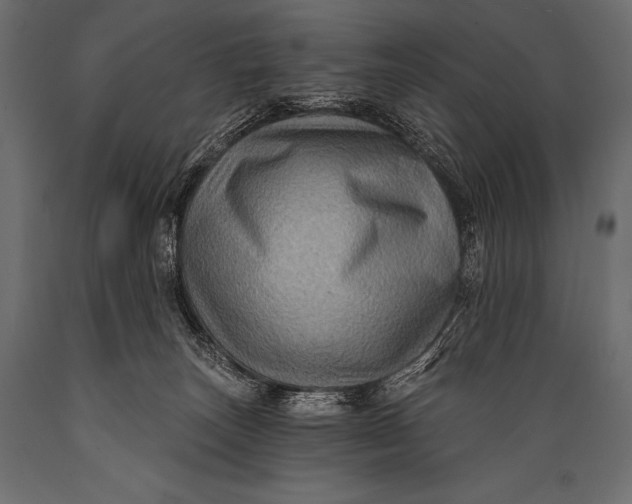 X0000088860179200706291526