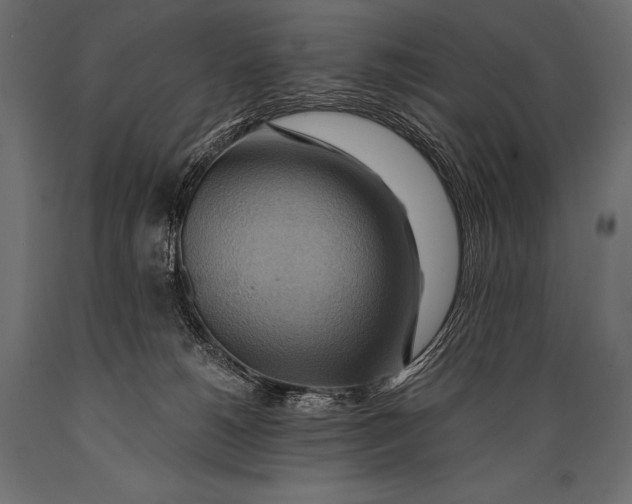 X0000088860180200706291526