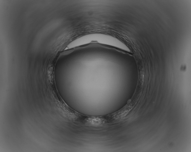 X0000088860181200706291526